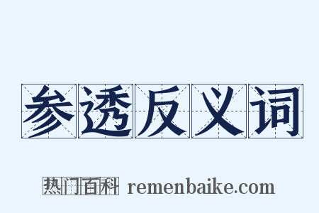 参透反义词是什么意思的图片